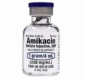 Rx Amikacin Sulfate (Generic) Injection 1gm/4ml, 10 x 4ml vials cat climbing tree cat hammock cat steps cat grooming kit cat safety gate