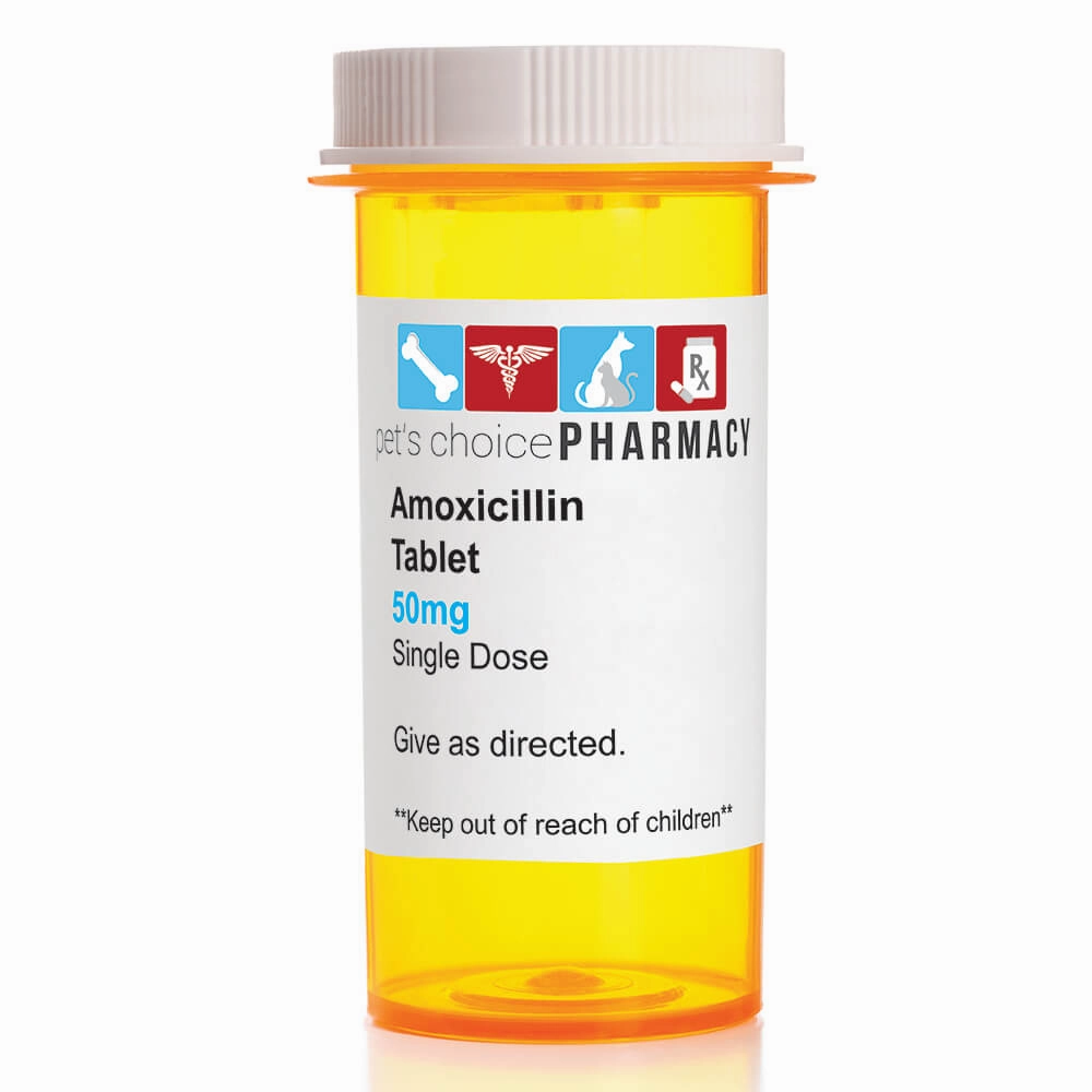 Rx Amoxicillin (Generic) Tablets for Dogs & Cats cat scratchers cat towers cat window perch cat heating pad cat calming spray