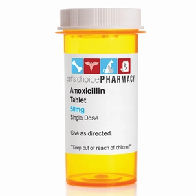 Rx Amoxicillin (Generic) Tablets for Dogs & Cats cat scratchers cat towers cat window perch cat heating pad cat calming spray