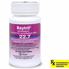 Rx Baytril (enrofloxacin) Coated Tablets for Cats & Dogs cat climbing tree cat hammock cat steps cat grooming kit cat safety gate