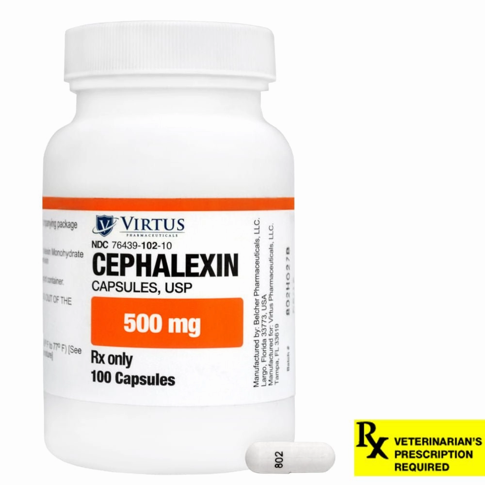 Rx Cephalexin (Generic) Capsules for Dogs & Cats