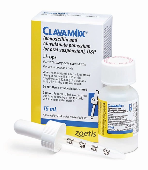 Rx Clavamox for Dogs and Cats (Amoxicillin trihydrate/clavulanate potassium) For Oral Suspension Oral Drops, 15 ml plush dog toys fluffy dog toy dog cuddle toy dog toy set stuffed toy for dogs