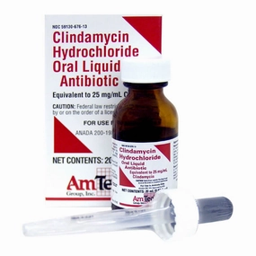 Rx Clindamycin, 25mg/ml Oral Drops x 20 ml bottle cat scratchers cat towers cat window perch cat heating pad cat calming spray