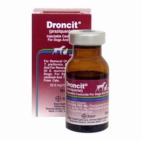 Rx Droncit (praziquantel) Injectable Cestocide for Dogs & Cats cat scratchers cat towers cat window perch cat heating pad cat calming spray