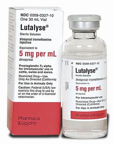 Rx Lutalyse (dinoprost tromethamine injection) Sterile Solution tuff dog toys durable toys for dogs chew tested toys hard chew toy strong plush