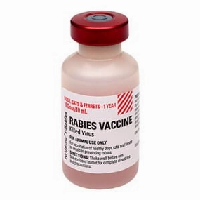 Rx Nobivac 1-Rabies Vaccine for Dogs & Cats, 10 mL Vial, No Tags plush dog toys fluffy dog toy dog cuddle toy dog toy set stuffed toy for dogs