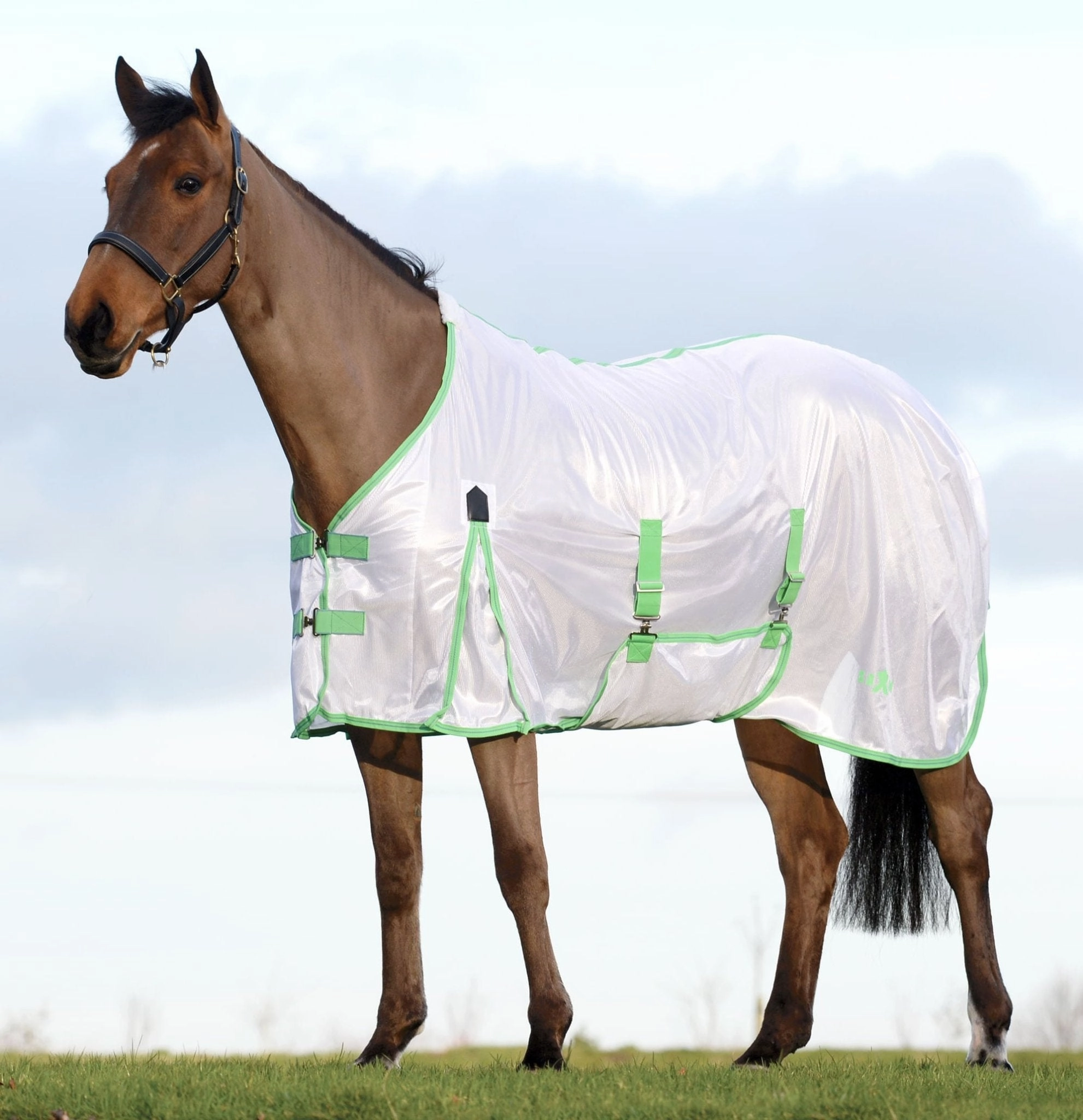Saxon Standard Neck Mesh Horse Fly Sheet