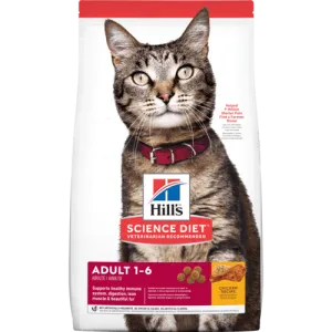Science Diet Adult Chicken Recipe Dry Cat Food cat supplies cat house cat tree cat feeder cat collar