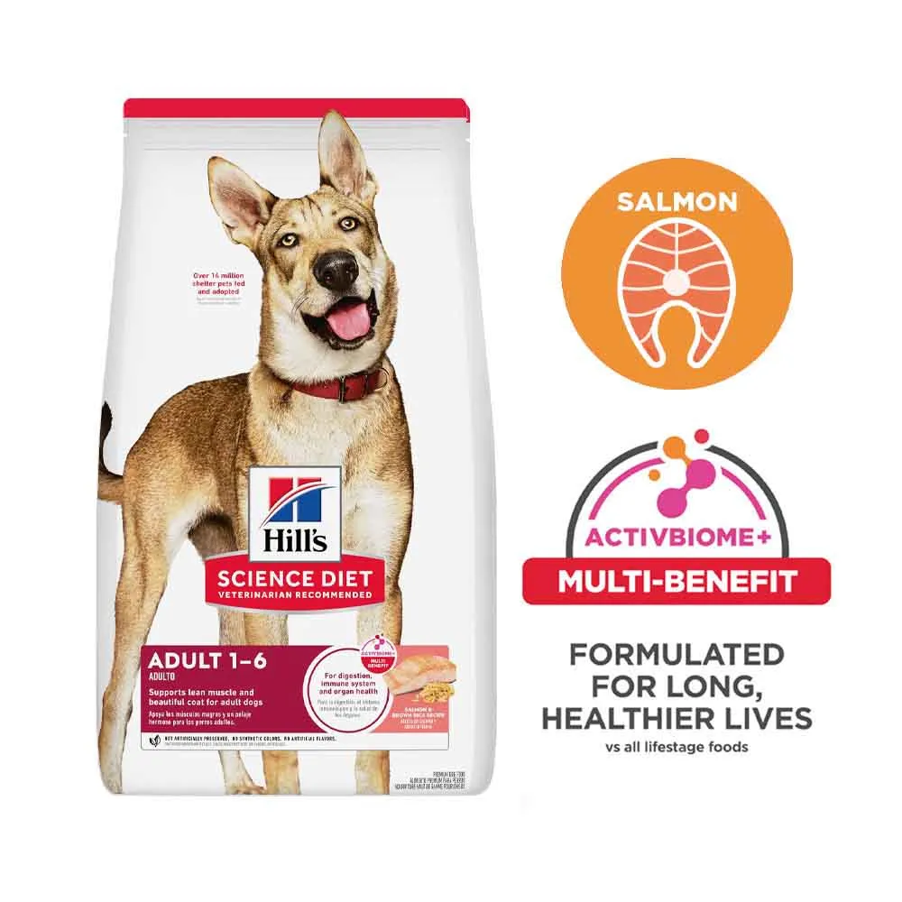 Science Diet Adult Salmon & Brown Rice Dry Dog Food