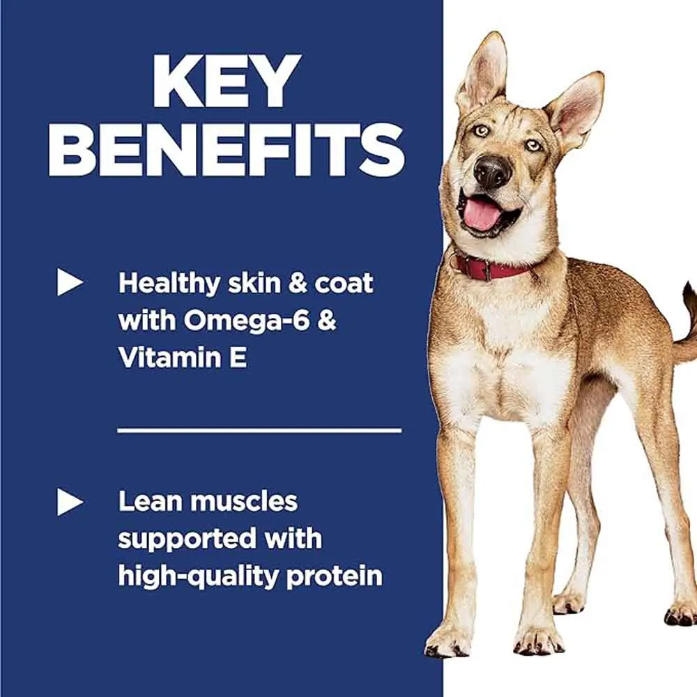 Science Diet Adult Salmon & Brown Rice Dry Dog Food