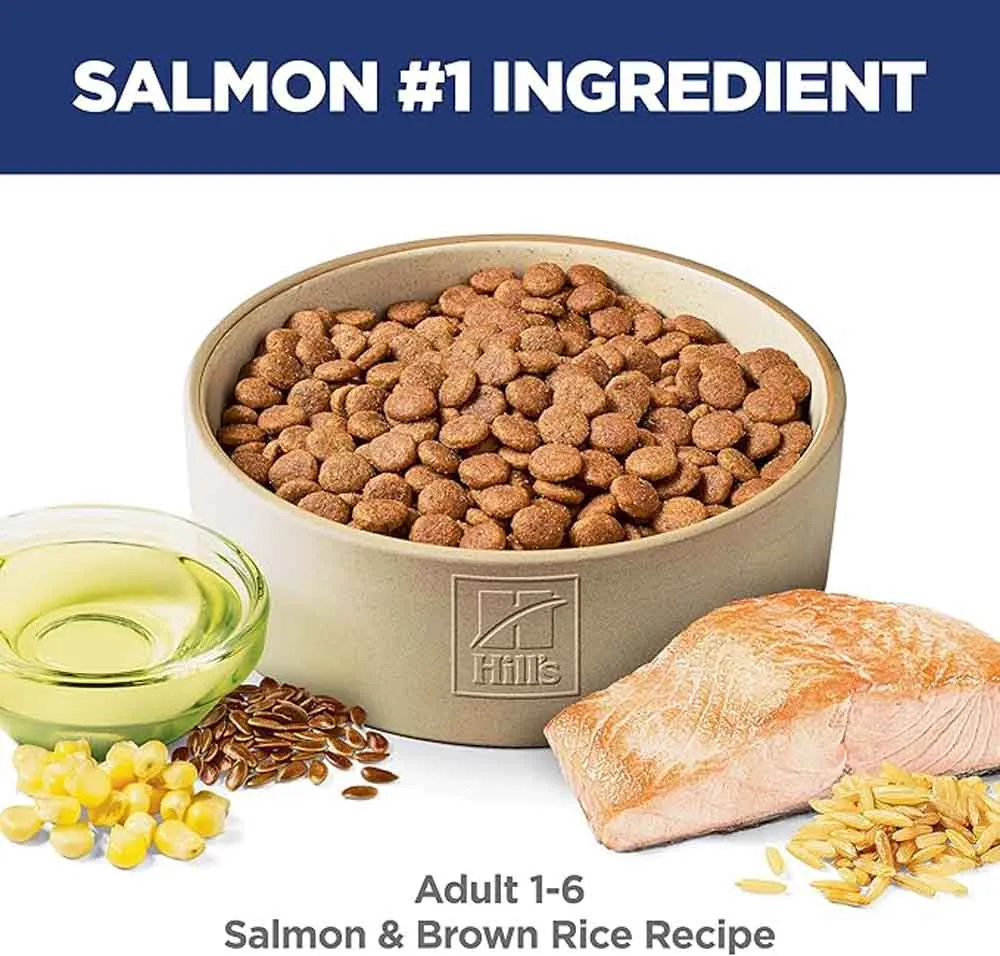 Science Diet Adult Salmon & Brown Rice Dry Dog Food
