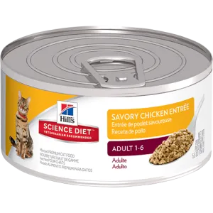 Science Diet Adult Savory Chicken Entree Wet Cat Food cat supplies cat house cat tree cat feeder cat collar