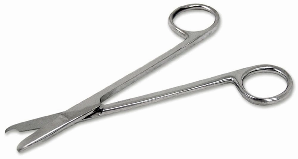 Scissors, 5.5" Straight poultry remedies poultry supplement goat vitamins sheep probiotics animal health boost