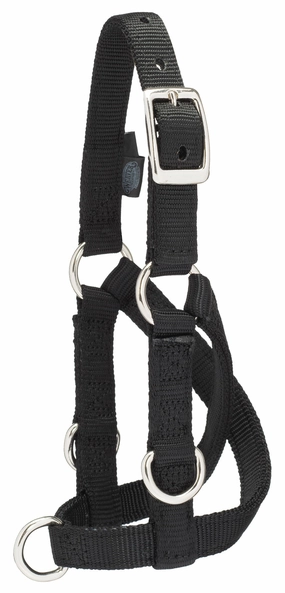 Sheep/Goat Treadmill Halter chicken supplies backyard chicken coop accessories poultry food chicken vitamins