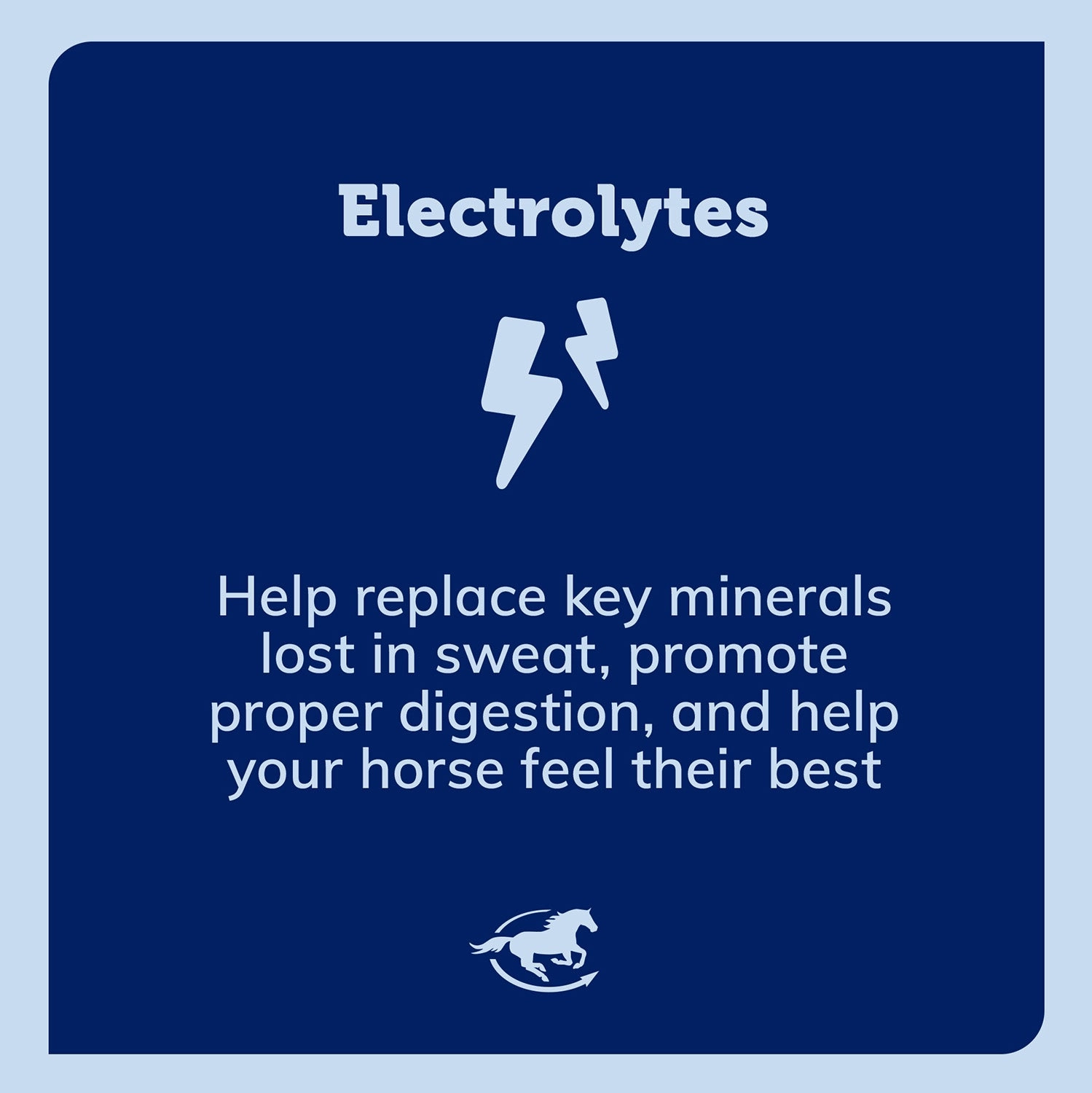 SmartEquine SmartLytes Electrolyte Paste for Horses