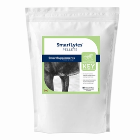SmartEquine SmartLytes Electrolyte Pellets for Horses poultry remedies poultry supplement goat vitamins sheep probiotics animal health boost