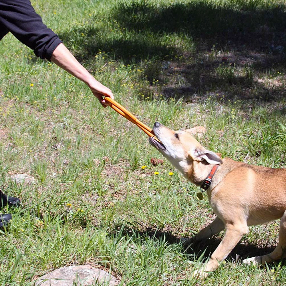 Soda Pup Pop Top Tug Orange Squeeze