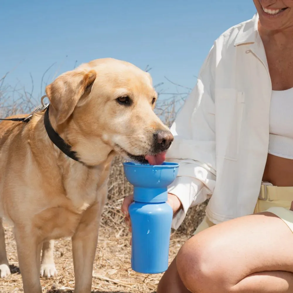 Springer Flip Dog Travel Water Bottle 590ml (Lilac)