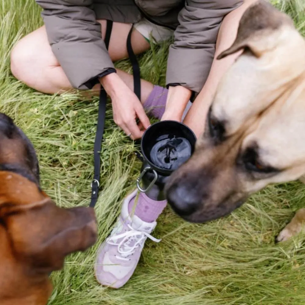 Springer Flip Dog Travel Water Bottle 590ml (Springer Green)