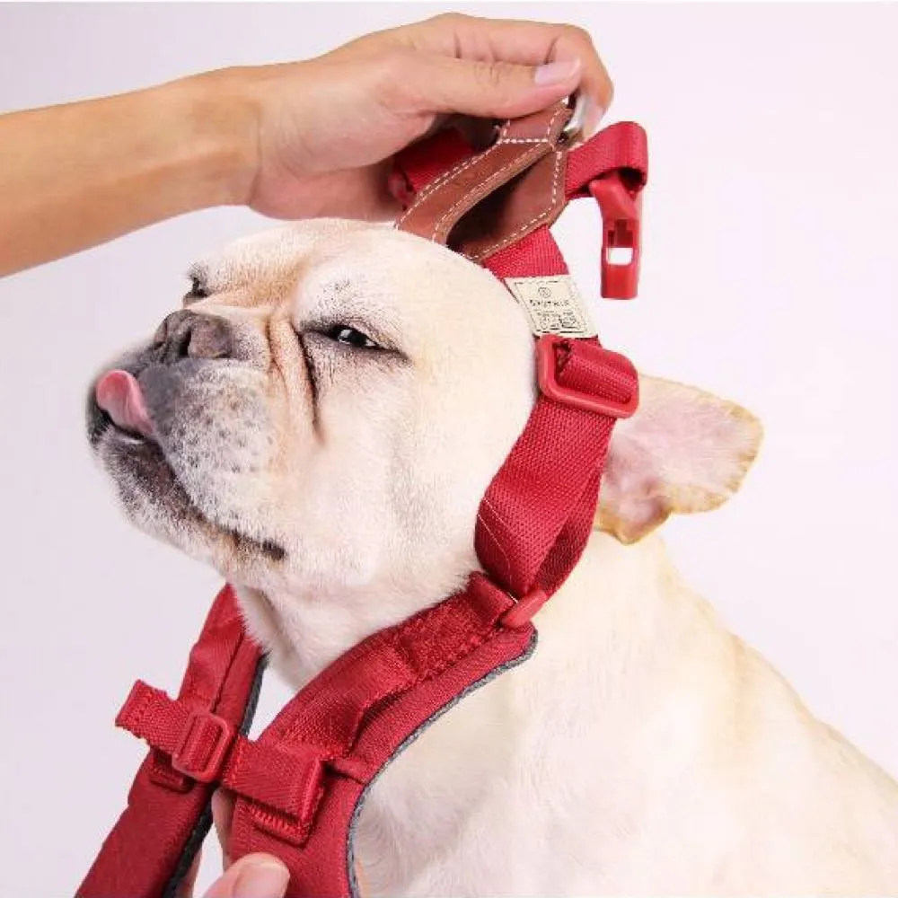 Sputnik Comfort Dog Harness (Blue)