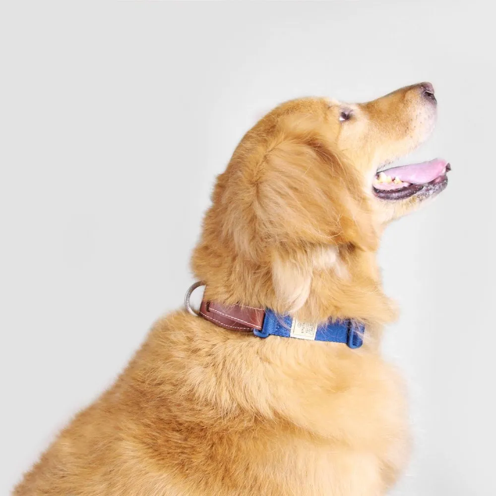 Sputnik Nylon Dog Collar (Green)