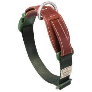 Sputnik Nylon Dog Collar (Green) dog bones rawhide chew sticks dog jerky bacon bone