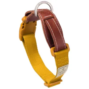 Sputnik Nylon Dog Collar (Yellow) dog bones rawhide chew sticks dog jerky bacon bone