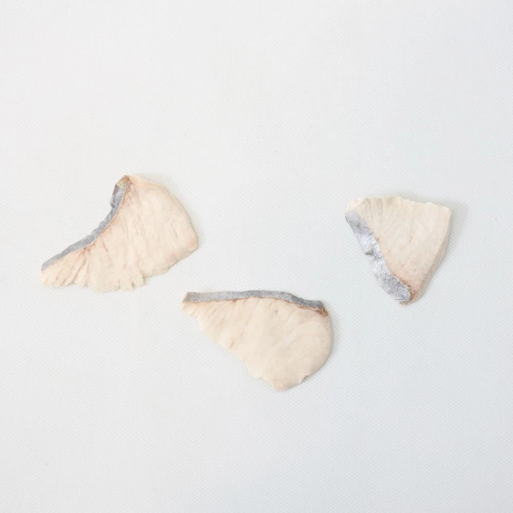 Taki Batang Fish Freeze-Dried Treats For Cats & Dogs 50g