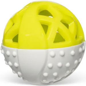 Totally Pooched Catch'n Squeak Rubber Ball Dog Toy (Green) dog bones rawhide chew sticks dog jerky bacon bone