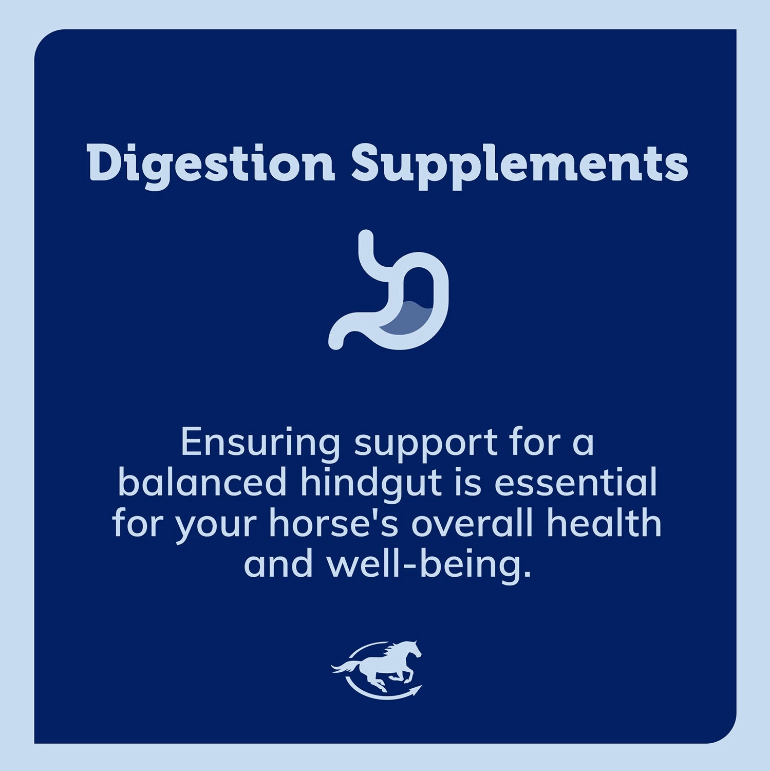 Uckele Absorb-All Digestive Supplement for Horses, Powder