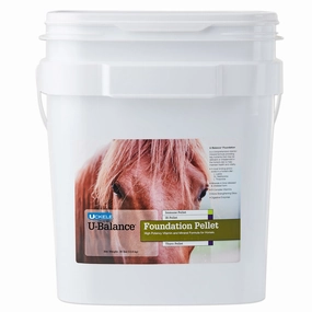 Uckele U-Balance Foundation Equine Supplement, Pellets poultry remedies poultry supplement goat vitamins sheep probiotics animal health boost