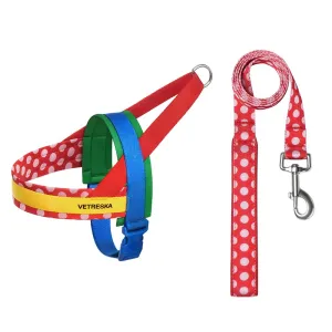 VETRESKA Chroma Dog Harness & Leash Set (Red) grain free dog food natural dog biscuits high protein dog food dog food pack dog meat sticks
