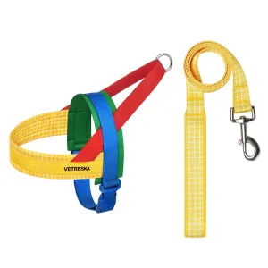 VETRESKA Chroma Dog Harness & Leash Set (Yellow) grain free dog food natural dog biscuits high protein dog food dog food pack dog meat sticks