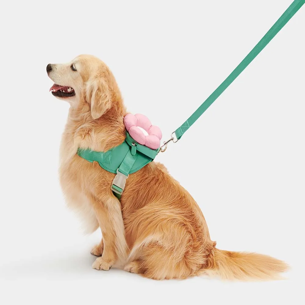 VETRESKA Flora Collar, Backpack Harness & Leash Set For Cats & Dogs