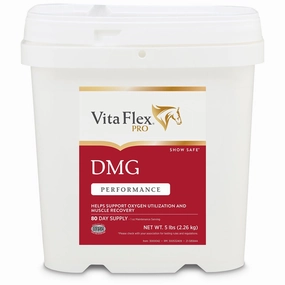 Vita Flex DMG 1500 Horse Supplement, 80 Day Supply poultry remedies poultry supplement goat vitamins sheep probiotics animal health boost