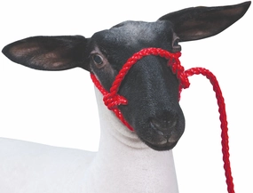 Weaver Leather Sheep & Goat Poly Rope Halter chicken supplies backyard chicken coop accessories poultry food chicken vitamins
