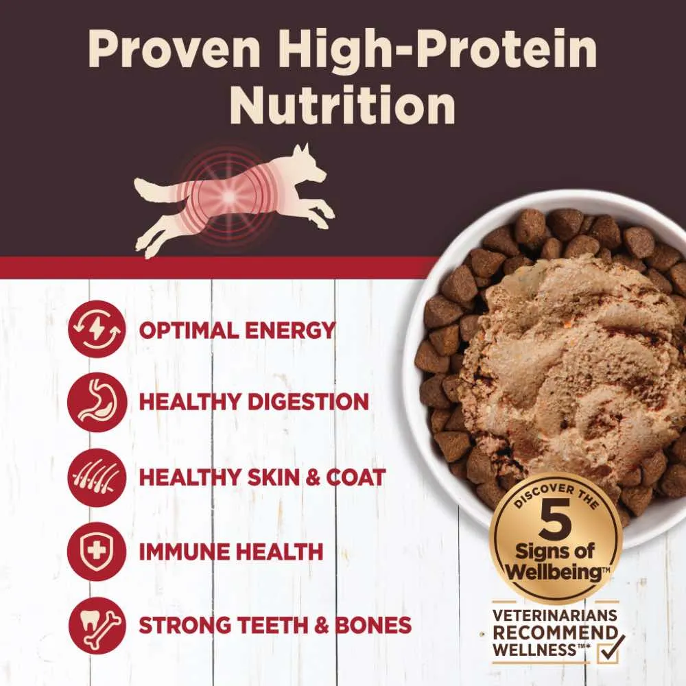Wellness CORE Digestive Health Beef Grain-Free Canned Dog Food 13oz