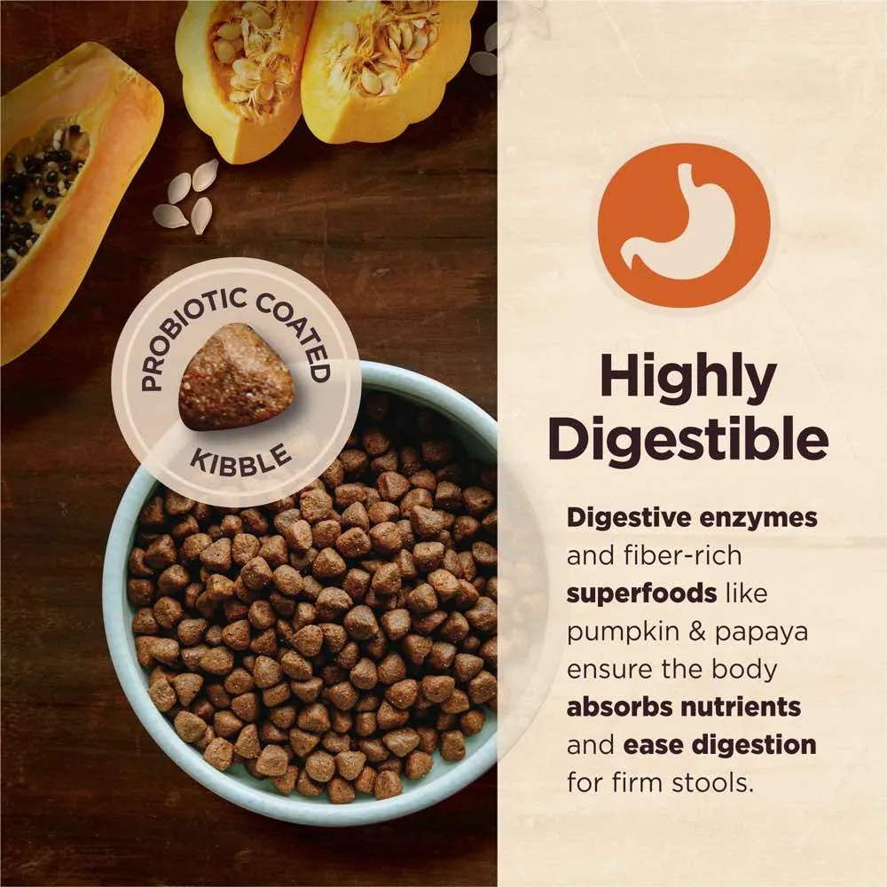 Wellness CORE Digestive Health Chicken & Brown Rice Adult Dry Dog Food