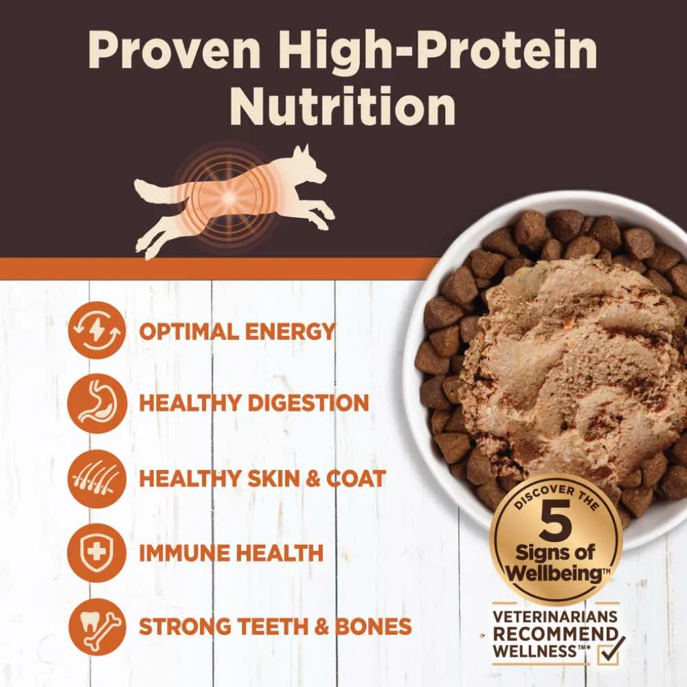 Wellness CORE Digestive Health Chicken Grain-Free Canned Dog Food 13oz