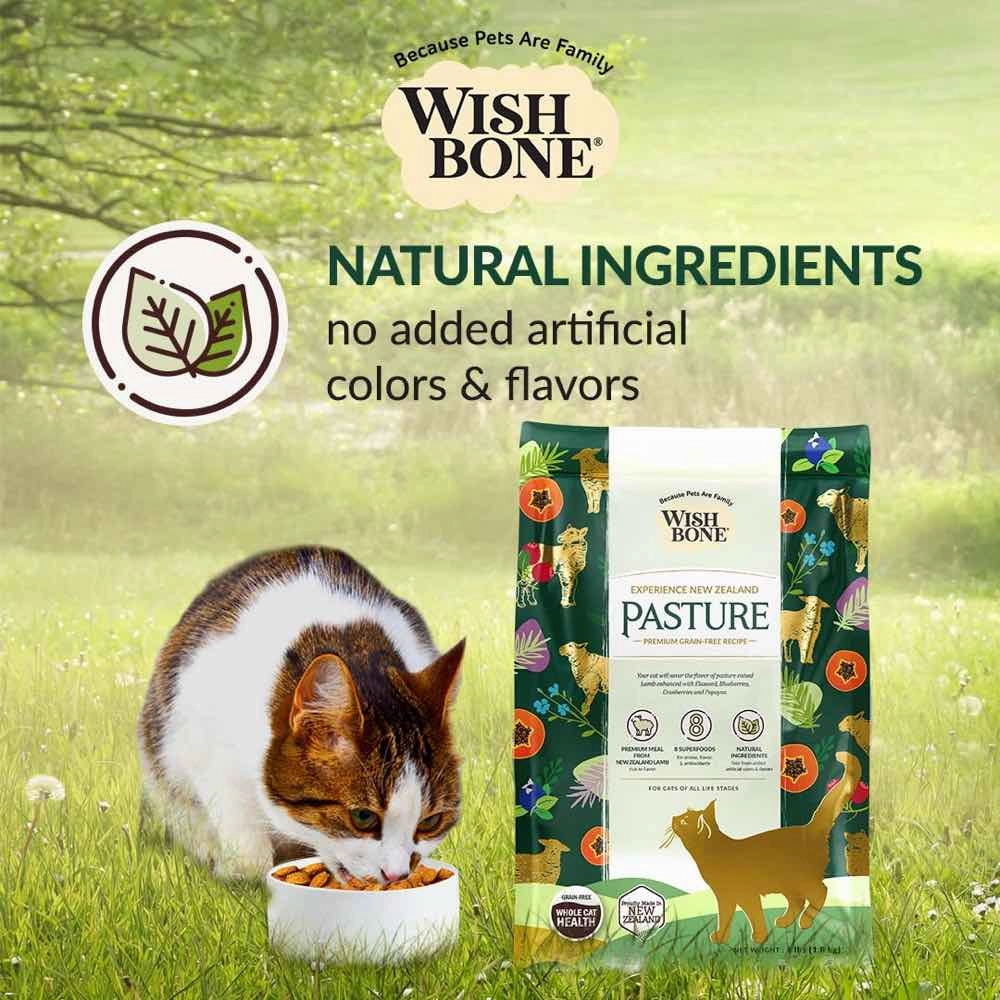 Wishbone Pasture Lamb & Chicken Grain-Free Dry Cat Food 4lb