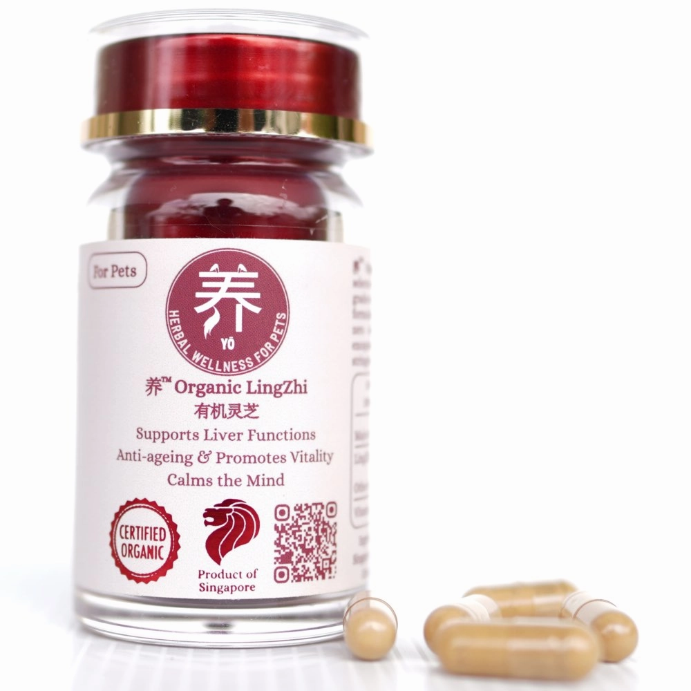 Yo Organic Lingzhi Herbal Supplements For Cats & Dogs 30c