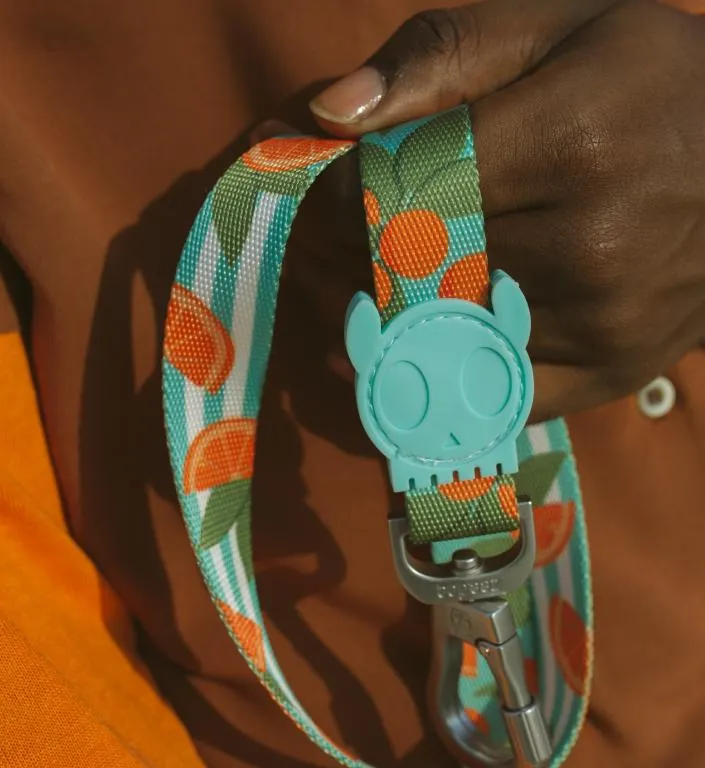 Zee.Dog Dog Leash (Florida)