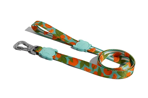 Zee.Dog Dog Leash (Florida) dog bandana dog scarf dog necklace dog shoes dog socks