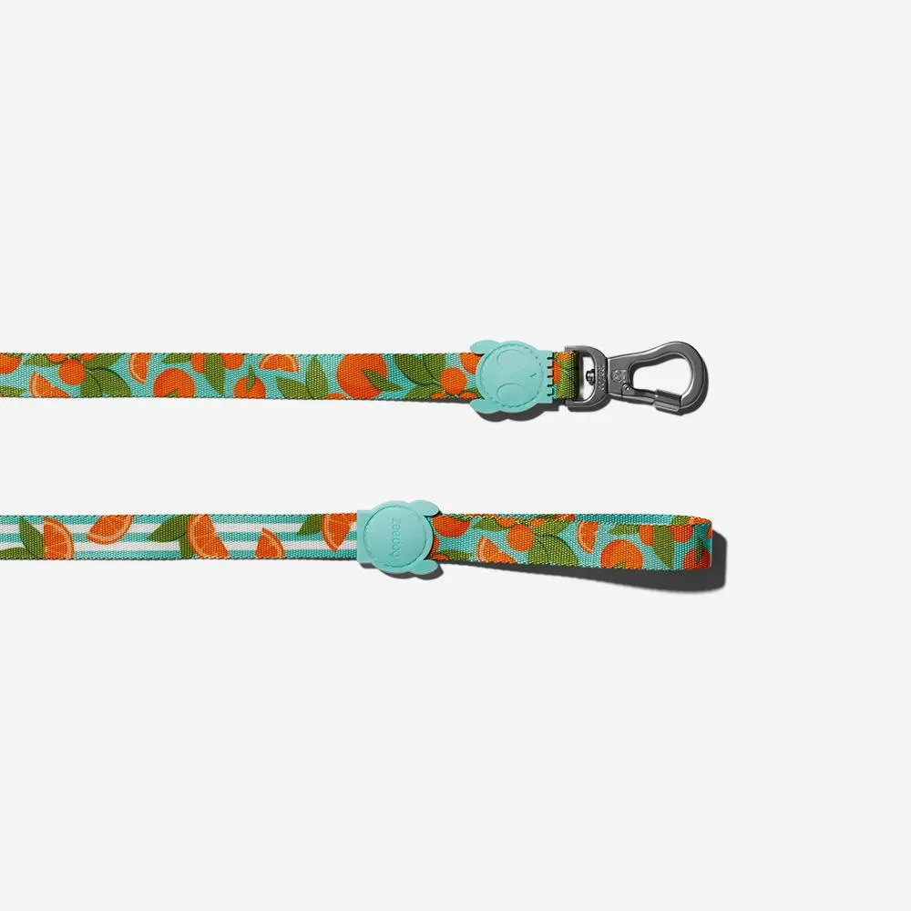 Zee.Dog Dog Leash (Florida)