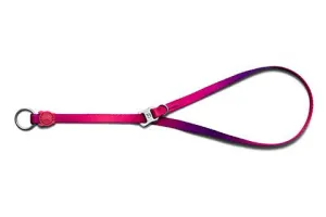 Zee.Dog Obedience Slip Dog Collar (Juno) dog bandana dog scarf dog necklace dog shoes dog socks