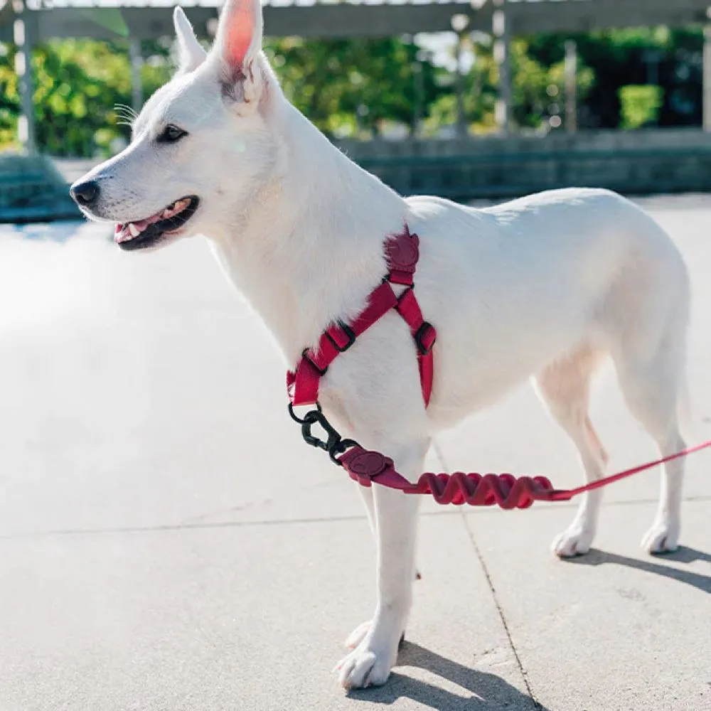 Zee.Dog Ruff Dog Leash (Bordeau)