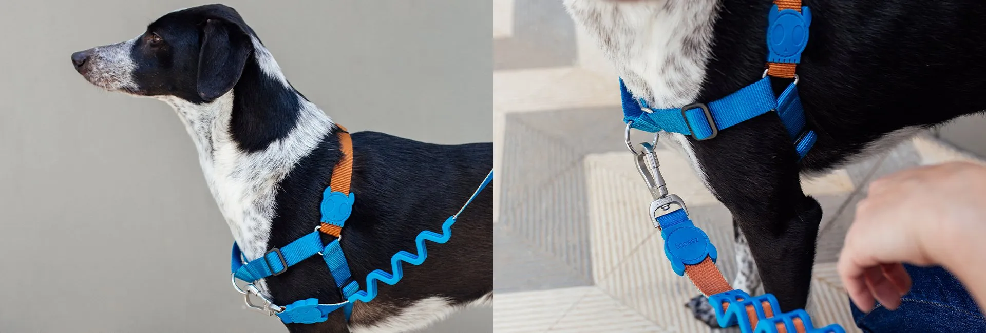 Zee.Dog Ruff Shock Absorbent Dog Leash (Delta)