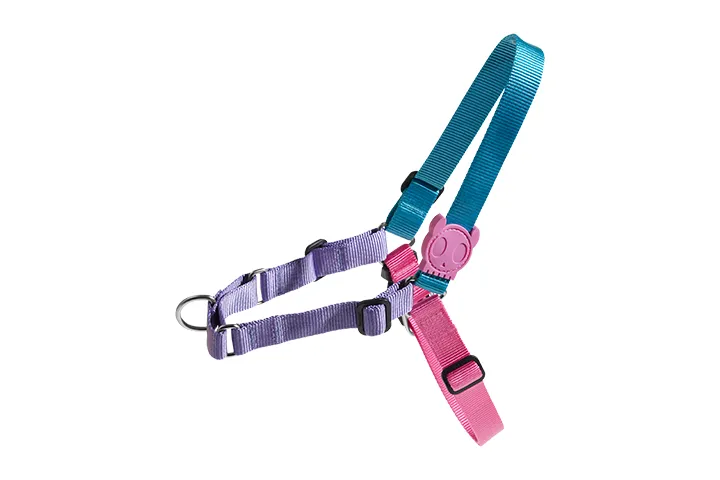 Zee.Dog Soft-Walk Dog Harness (Aurora) dog travel bowl foldable dog bowl dog water dispenser automatic dog feeder raised dog bowl